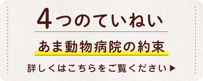 あま動物病院 | あま市 大治町 清須市 津島市 名古屋市 稲沢市 愛西市