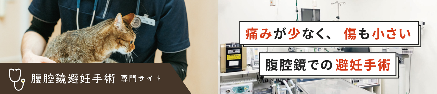 あま動物病院 腹腔鏡による避妊手術専門サイトへのリンクバナー